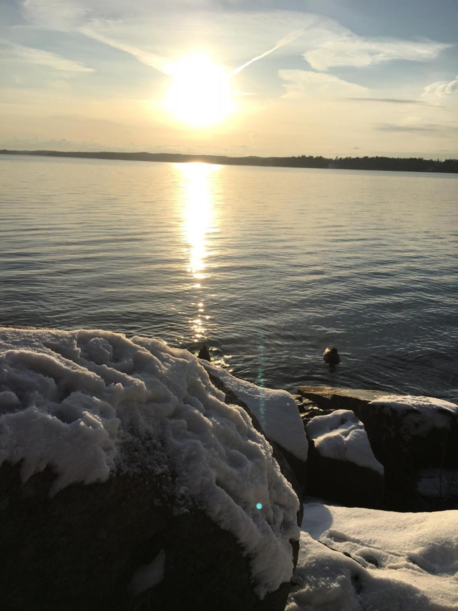Riddersviks Herrgard Stockholm Kültér fotó